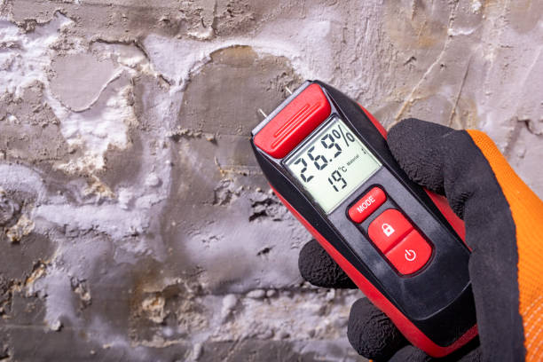 Mold Testing and Removal in Hartville, OH