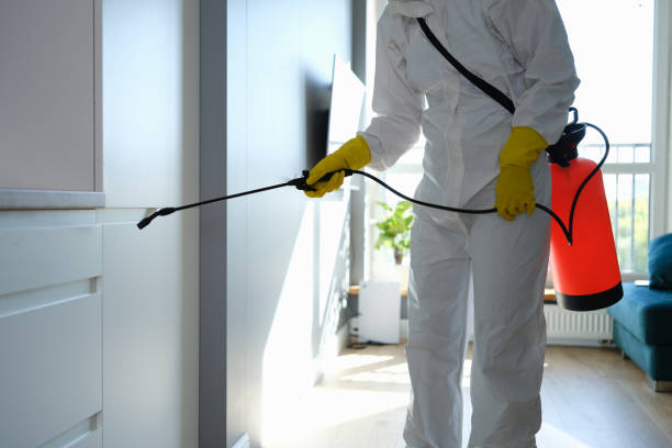 Best Emergency Mold Removal  in Hartville, OH