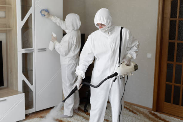 Certified Mold Removal in Hartville, OH